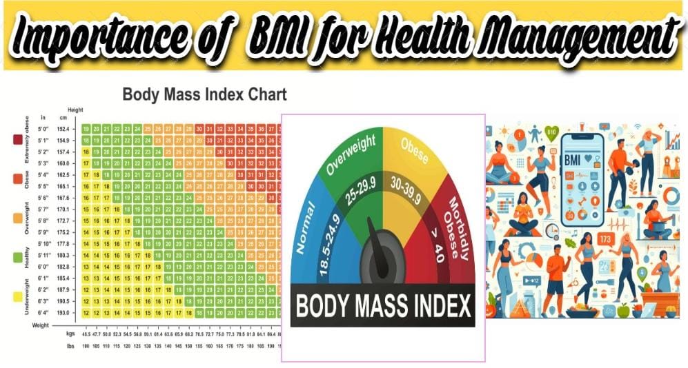 bmi image 1